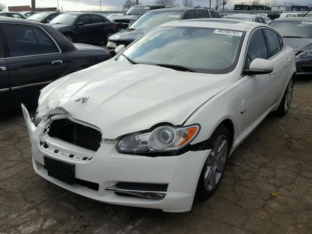 SAJWA0FA7AHR66163 - 2010 JAGUAR XF LUXURY WHITE photo 2