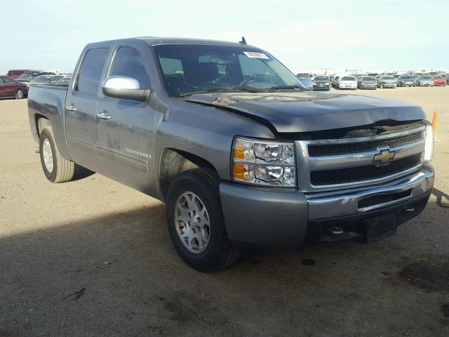 3GCEC13CX9G150800 - 2009 CHEVROLET SILVERADO GRAY photo 1