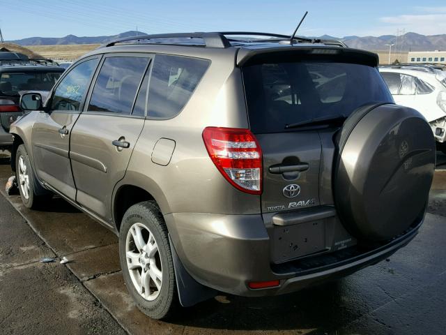 2T3BK4DV1AW027916 - 2010 TOYOTA RAV4 BROWN photo 3