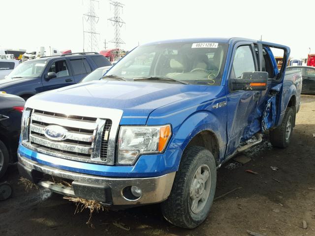 1FTFW1EV6AFC51204 - 2010 FORD F150 SUPER BLUE photo 2