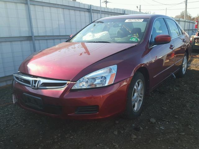 1HGCM56376A067988 - 2006 HONDA ACCORD SE MAROON photo 2