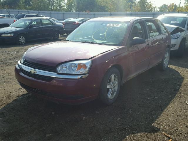 1G1ZT62805F320839 - 2005 CHEVROLET MALIBU MAX წითელი ფოტო 2
