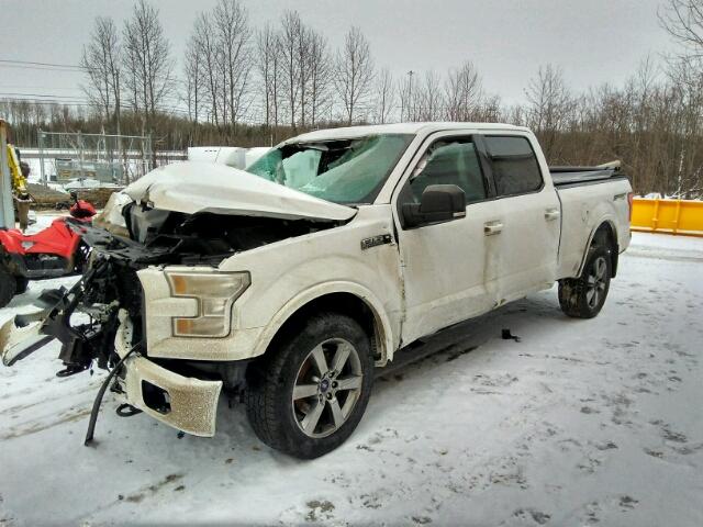 1FTFW1EF7GFA25433 - 2016 FORD F150 SUPER WHITE photo 2