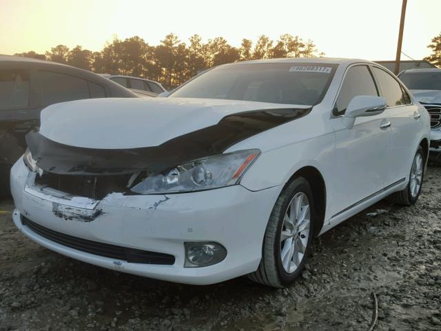 JTHBK1EG5A2406536 - 2010 LEXUS ES 350 WHITE photo 2