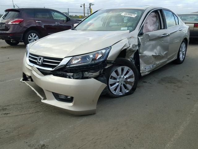 1HGCR2F81FA218304 - 2015 HONDA ACCORD EXL GOLD photo 2