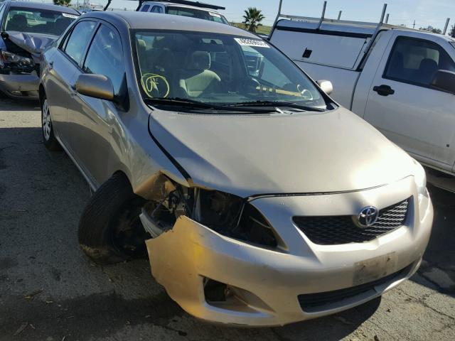 1NXBU4EE6AZ314038 - 2010 TOYOTA COROLLA BA TAN photo 1