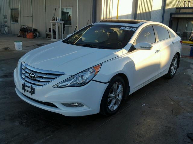 5NPEC4AC2DH631595 - 2013 HYUNDAI SONATA SE WHITE photo 2