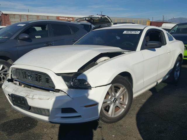 1ZVBP8AM3D5203166 - 2013 FORD MUSTANG WHITE photo 2