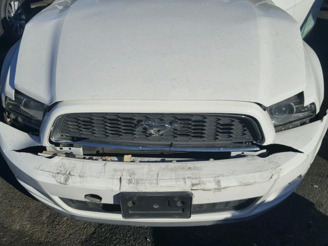 1ZVBP8AM3D5203166 - 2013 FORD MUSTANG WHITE photo 7