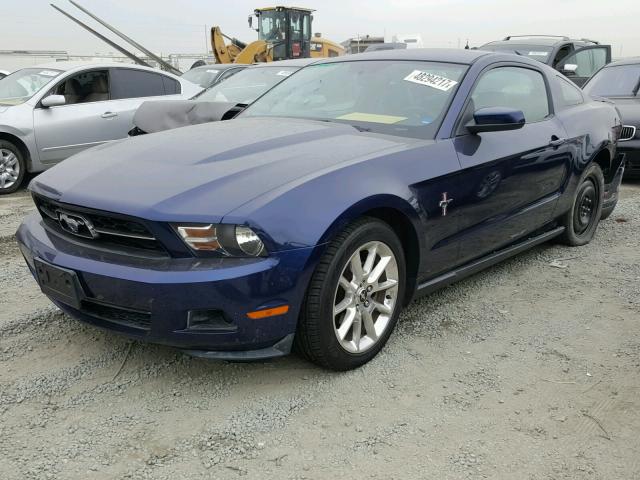 1ZVBP8AN1A5134403 - 2010 FORD MUSTANG BLUE photo 2