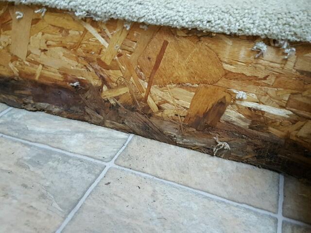 4YDF32S218E750319 - 2008 KEYSTONE CHALLENGER TWO TONE photo 9