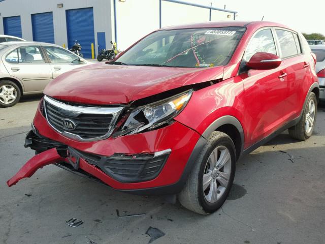 KNDPB3A23D7365425 - 2013 KIA SPORTAGE B RED photo 2