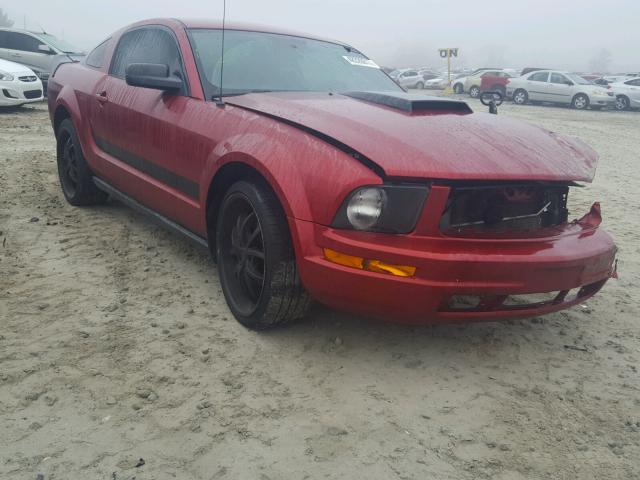 1ZVFT80NX75240405 - 2007 FORD MUSTANG RED photo 1