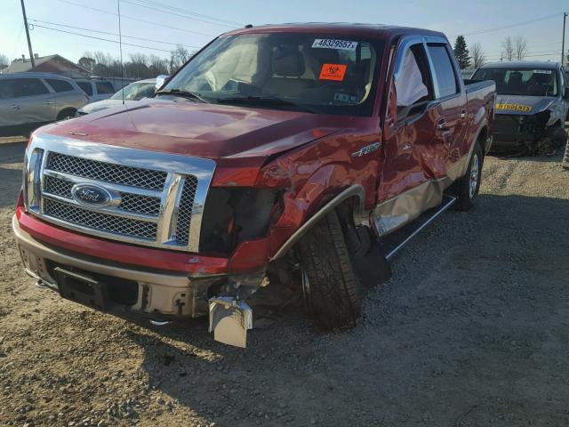 1FTFW1EF8CFC91814 - 2012 FORD F150 SUPER RED photo 2