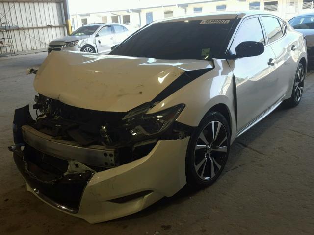 1N4AA6AP0GC414720 - 2016 NISSAN MAXIMA 3.5 WHITE photo 2