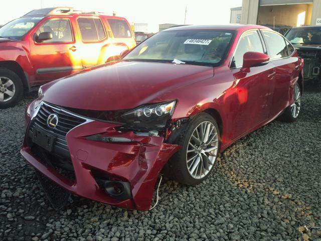 JTHCF1D25E5006320 - 2014 LEXUS IS 250 RED photo 2