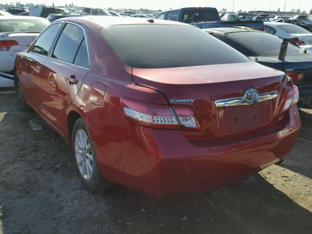 4T4BF3EK6BR206102 - 2011 TOYOTA CAMRY XLE RED photo 3