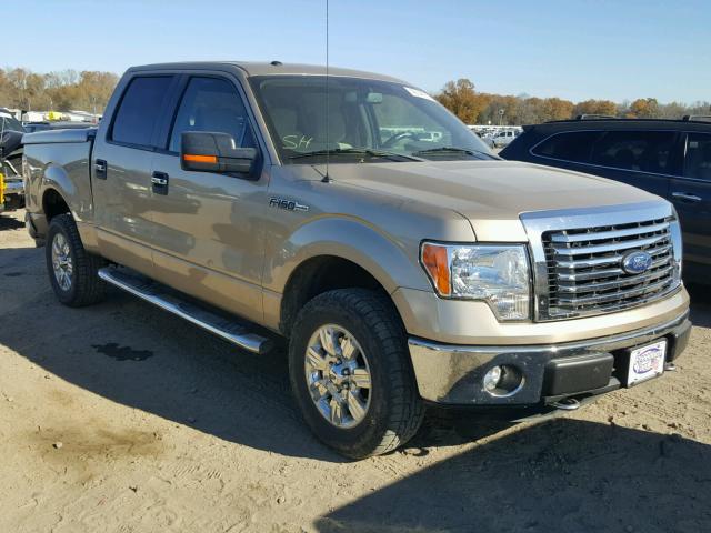 1FTFW1EF3CFA66300 - 2012 FORD F150 SUPER GOLD photo 1