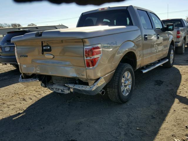 1FTFW1EF3CFA66300 - 2012 FORD F150 SUPER GOLD photo 4