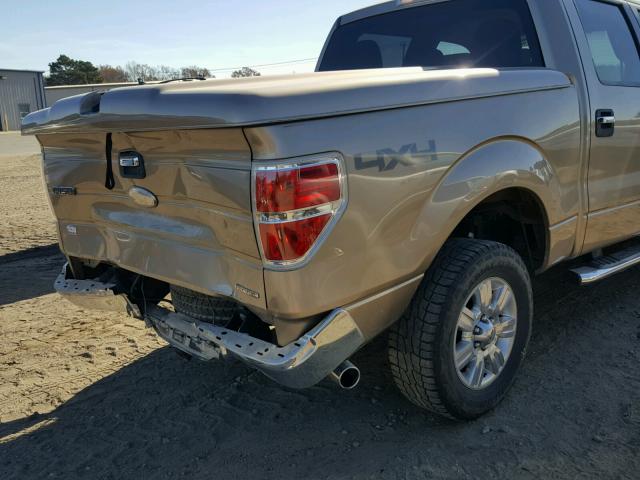 1FTFW1EF3CFA66300 - 2012 FORD F150 SUPER GOLD photo 9