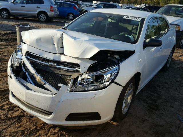 1G11A5SAXDF206474 - 2013 CHEVROLET MALIBU LS 白色 照片 2