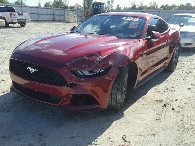 1FA6P8AMXF5344121 - 2015 FORD MUSTANG RED photo 2