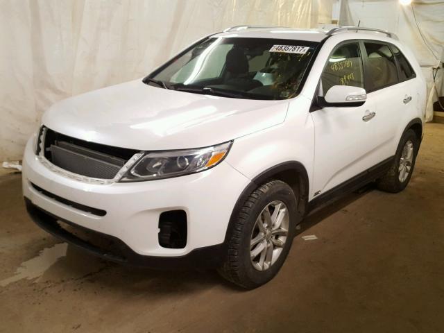 5XYKTCA66EG446367 - 2014 KIA SORENTO LX WHITE photo 2