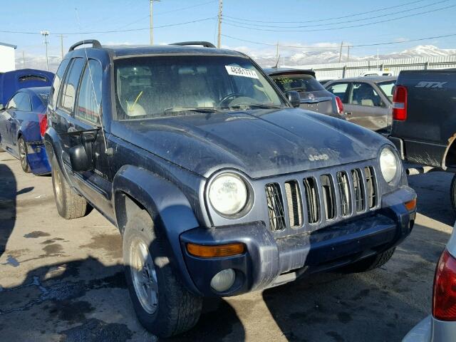 1J4GK58K82W221531 - 2002 JEEP LIBERTY LI BLUE photo 1