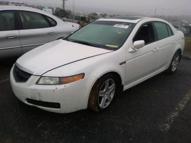 19UUA66276A039893 - 2006 ACURA 3.2TL WHITE photo 2