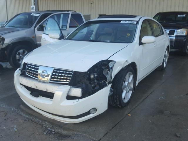 1N4BA41E64C857182 - 2004 NISSAN MAXIMA SE WHITE photo 2