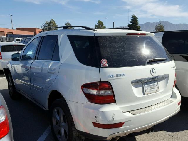 4JGBB2FB6AA533940 - 2010 MERCEDES-BENZ ML 350 BLU WHITE photo 3