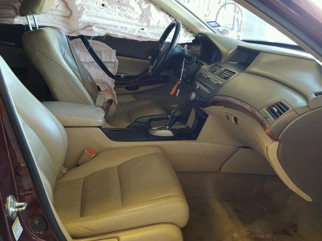 1HGCP26869A083525 - 2009 HONDA ACCORD EXL RED photo 5