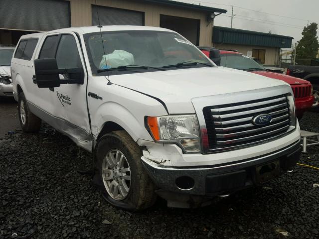 1FTFW1EVXAFB54491 - 2010 FORD F150 SUPER WHITE photo 1