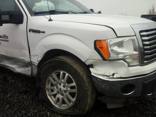 1FTFW1EVXAFB54491 - 2010 FORD F150 SUPER WHITE photo 10