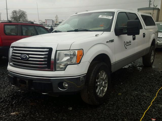 1FTFW1EVXAFB54491 - 2010 FORD F150 SUPER WHITE photo 2