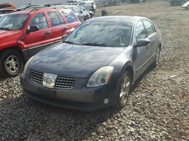 1N4BA41E65C863355 - 2005 NISSAN MAXIMA SE GRAY photo 2