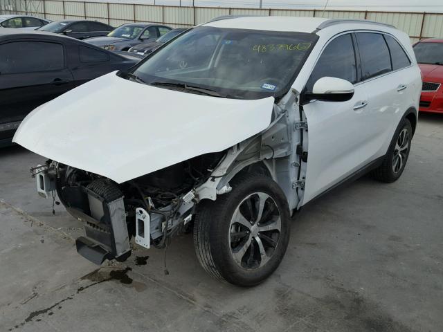 5XYPH4A10GG020646 - 2016 KIA SORENTO EX WHITE photo 2