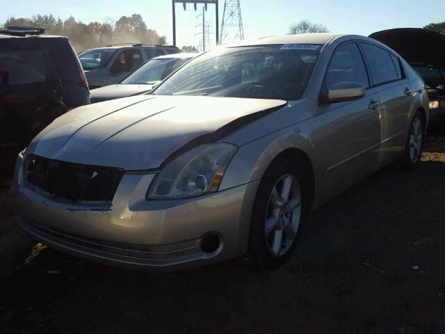 1N4BA41E85C807532 - 2005 NISSAN MAXIMA SE GOLD photo 2