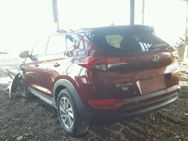 KM8J23A44GU206731 - 2016 HYUNDAI TUCSON SE MAROON photo 3