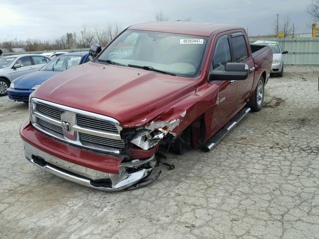 1C6RD7LT6CS198495 - 2012 DODGE RAM 1500 S RED photo 2