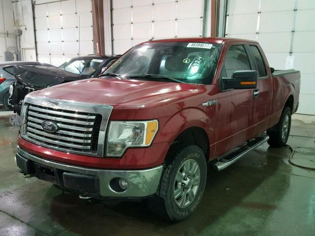 1FTFX1EF8CFB15424 - 2012 FORD F150 SUPER RED photo 2