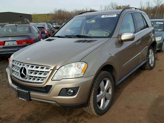 4JGBB8GB8AA547825 - 2010 MERCEDES-BENZ ML 350 4MA GOLD photo 2