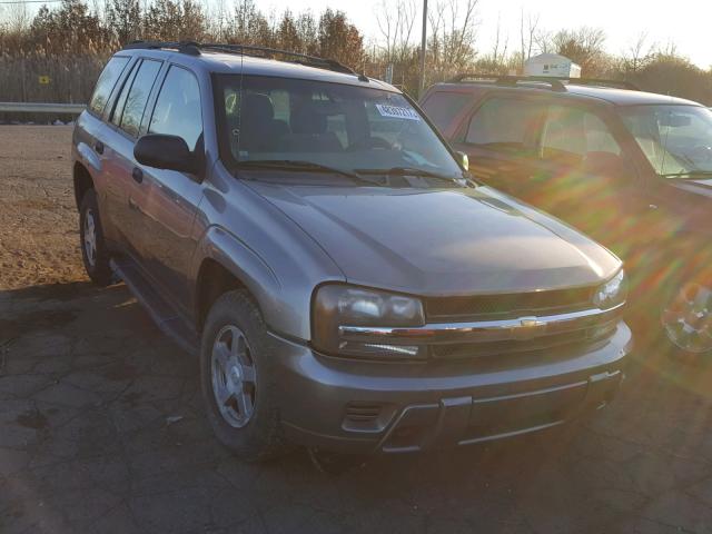 1GNDT13S152135745 - 2005 CHEVROLET TRAILBLAZE GRAY photo 1