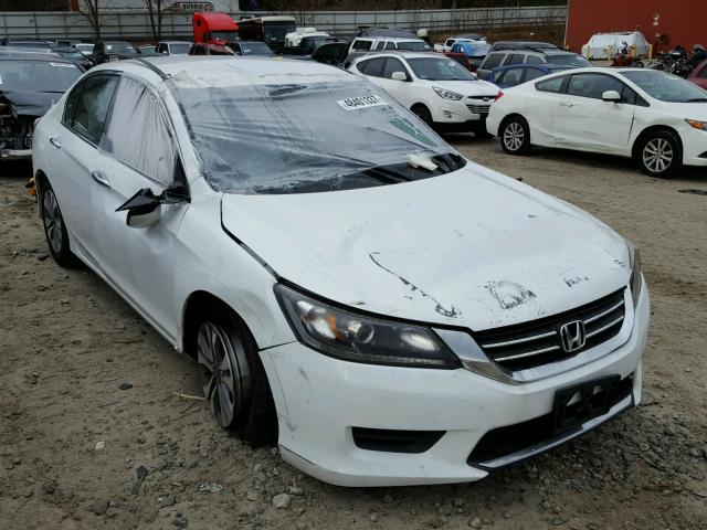 1HGCR2F39DA218682 - 2013 HONDA ACCORD LX WHITE photo 1