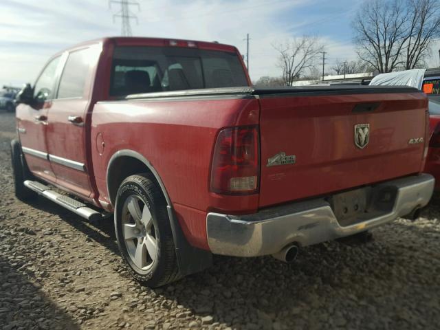 1D7RV1CT8AS171904 - 2010 DODGE RAM 1500 RED photo 3