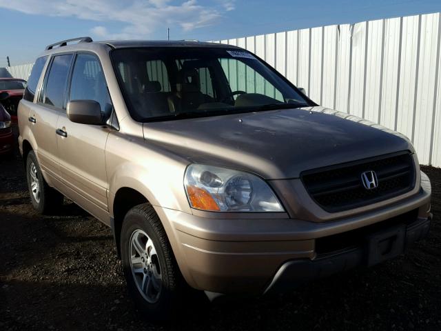 2HKYF18684H531939 - 2004 HONDA PILOT EXL TAN photo 1