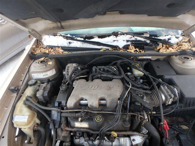 1G1NE52J72M667419 - 2002 CHEVROLET MALIBU LS BEIGE photo 7