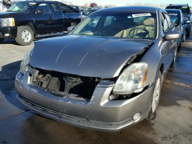 1N4BA41E15C875106 - 2005 NISSAN MAXIMA SE GOLD photo 2