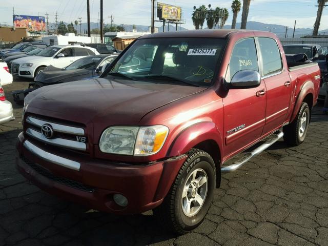 5TBET34185S470386 - 2005 TOYOTA TUNDRA DOU BURGUNDY photo 2