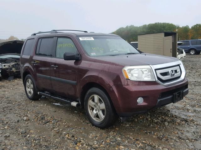 5FNYF48299B021698 - 2009 HONDA PILOT LX RED photo 1